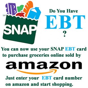 snap ebt